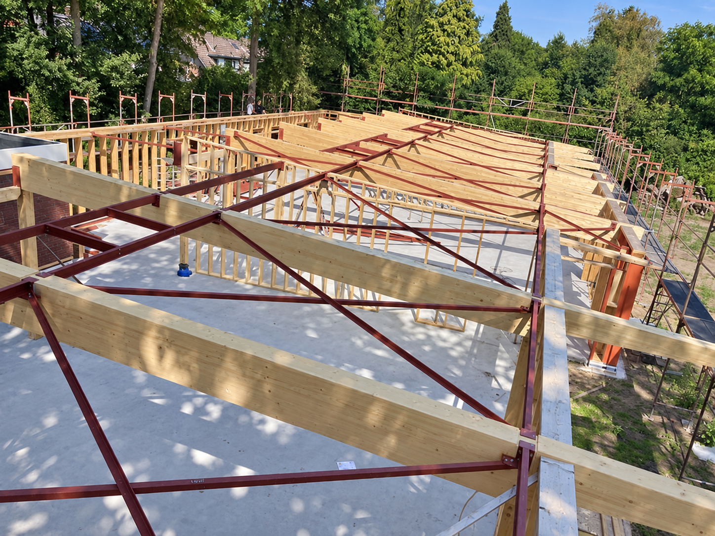 Overzicht van de houten draagconstructie en dakspanten van de Bosbergschool tijdens de bouw.